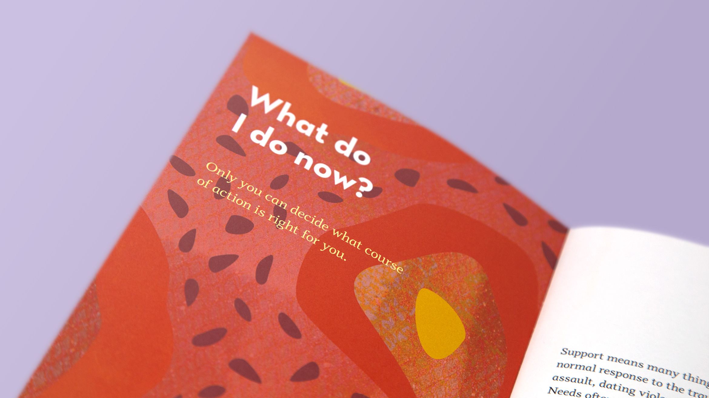 Scripps College Title IX Brochure What Do I Do Now Spread designed by Kilter