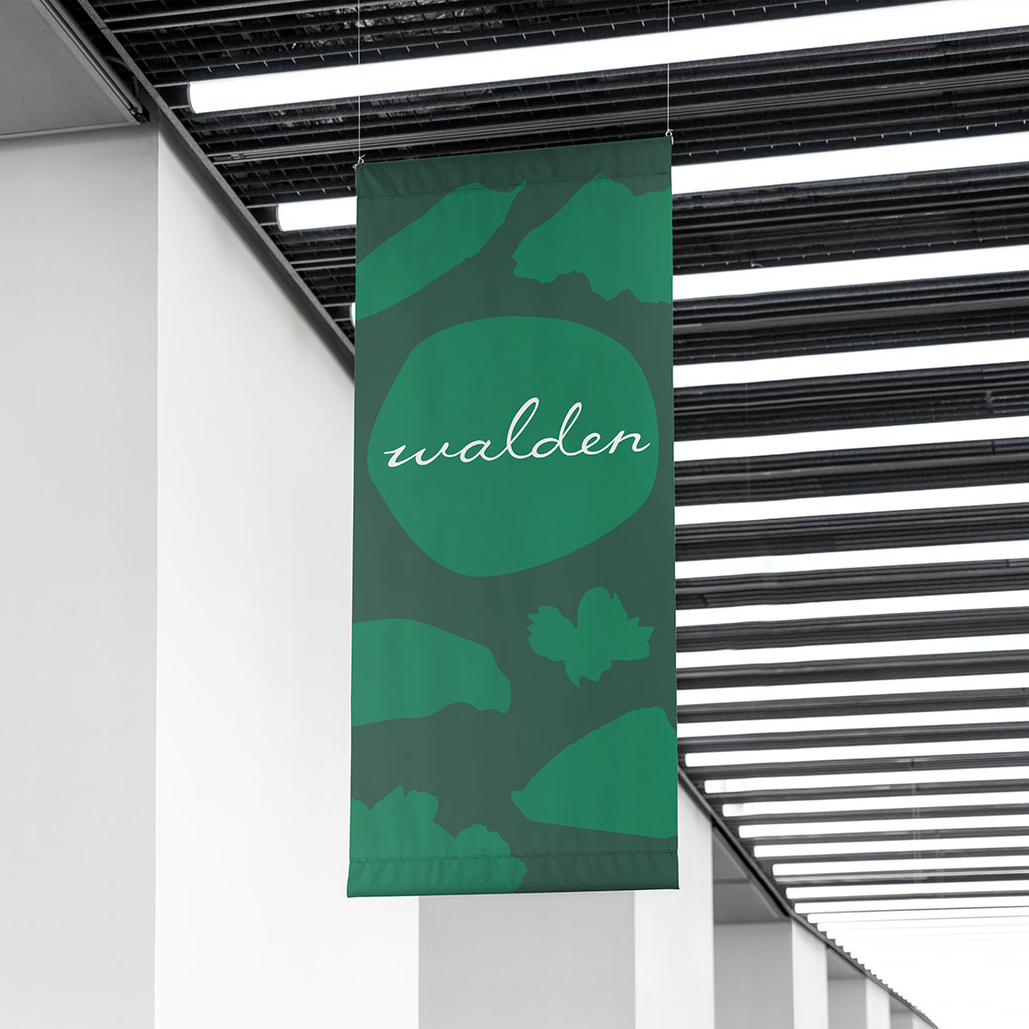 Banner from the Walden School rebrand designed by Kilter