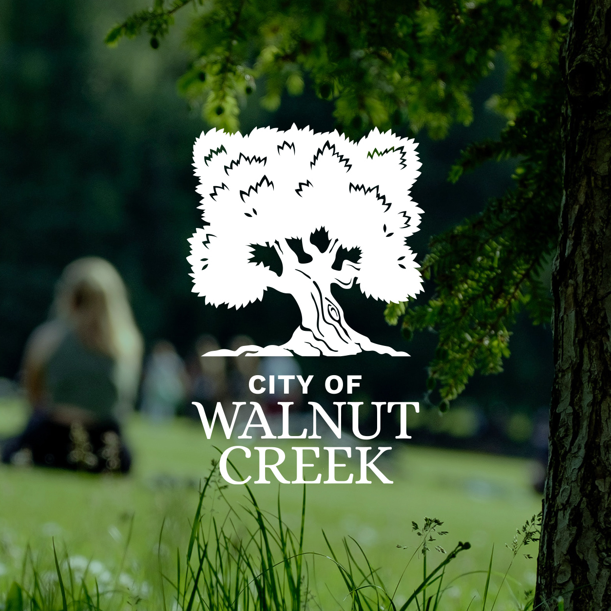 City of Walnut Creek Logo designed by Kilter