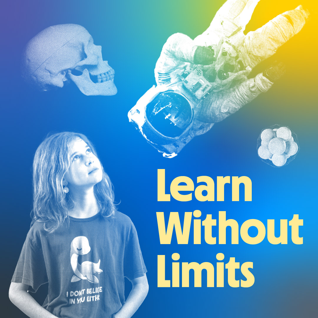 Qualia Case Study Thumbnail Designed by Kilter