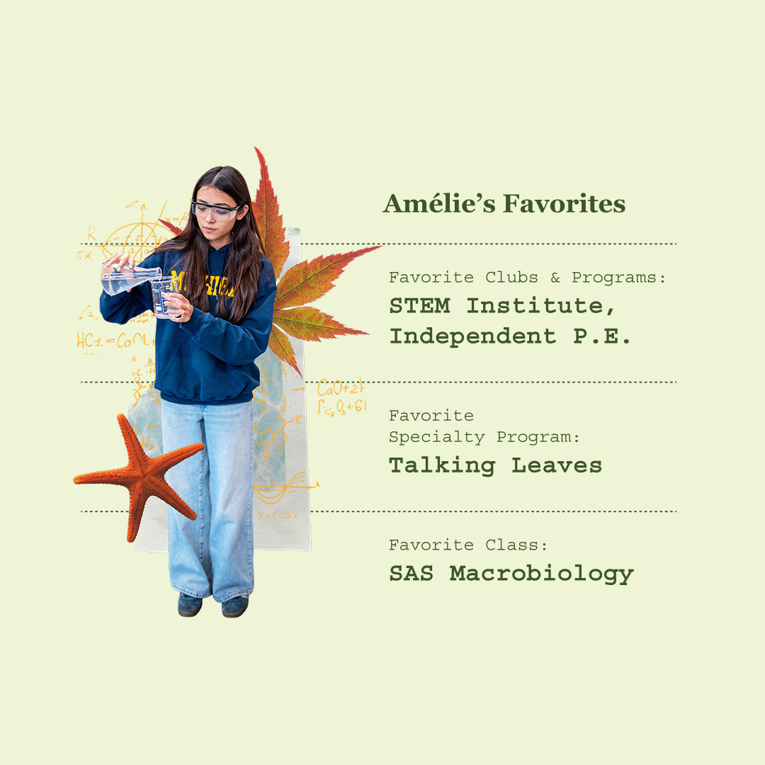 Collage from Sequoyah School admission campaign designed by Kilter.