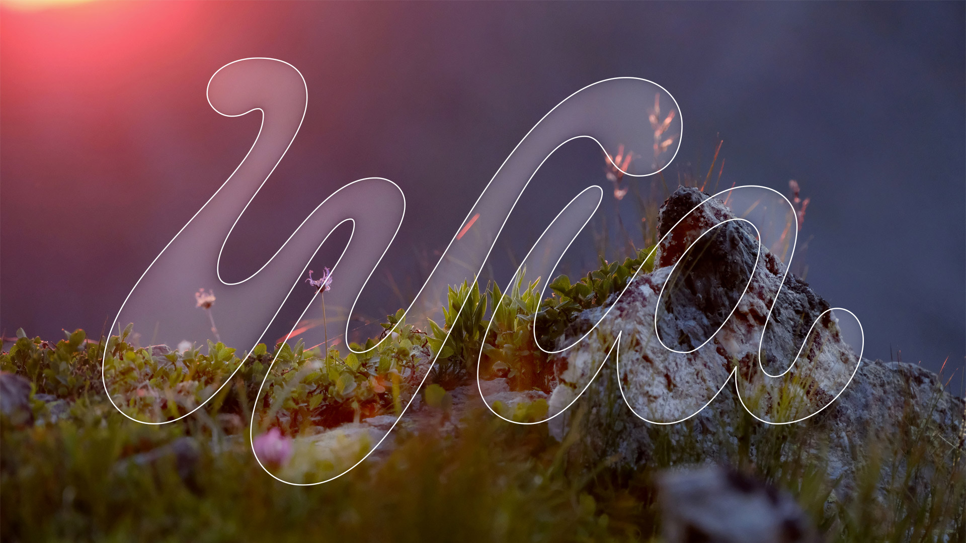 WIA rebrand designed by Kilter